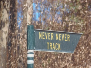 Never Never Track Bundaleer Forest