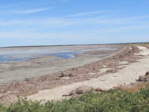 Port Germein Tidal Flat