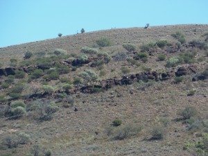 Rugged Hills