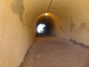 Whaler's Tunnel